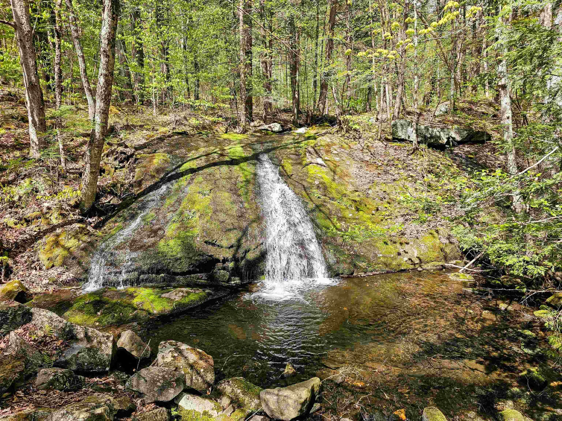 1905 Turkey Mountain Road Jamaica VT 05343