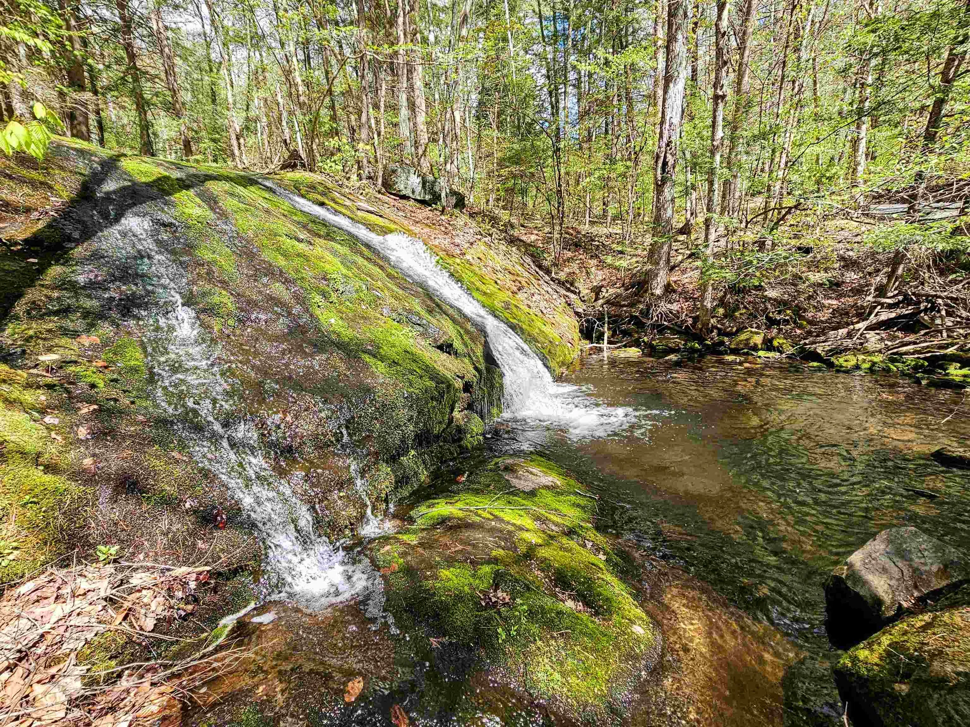 1905 Turkey Mountain Road Jamaica VT 05343