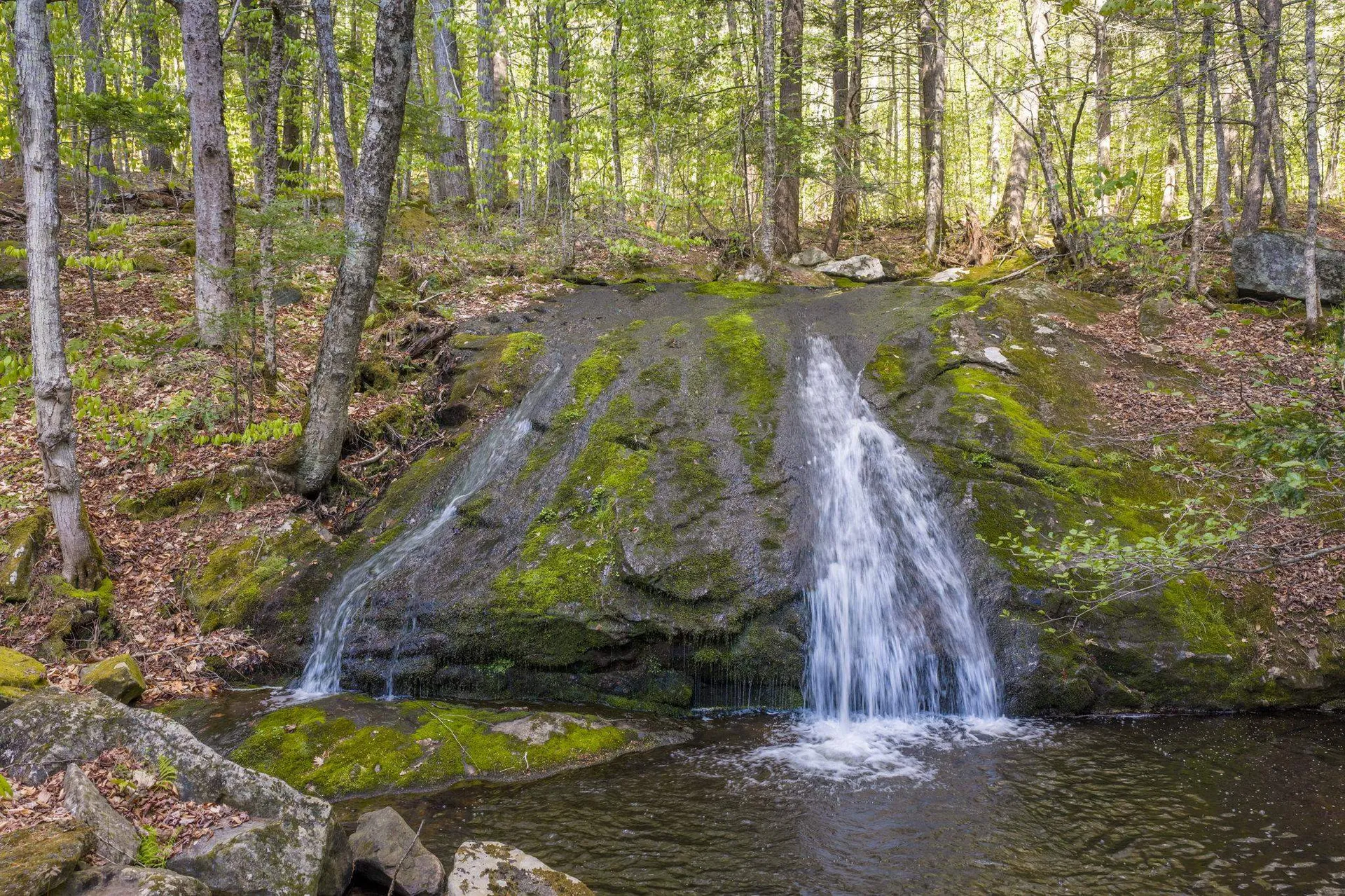 1905 Turkey Mountain Road Jamaica VT 05343