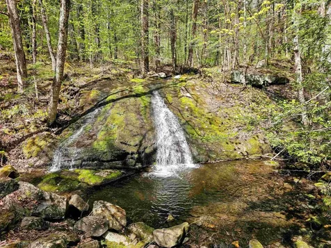1905 Turkey Mountain Road Jamaica VT 05343
