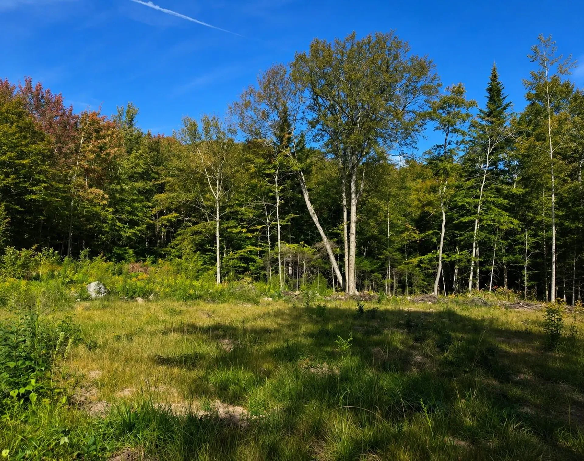 270 Bergabhang Drive Stamford VT 05352