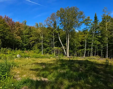 270 Bergabhang Drive Stamford VT 05352