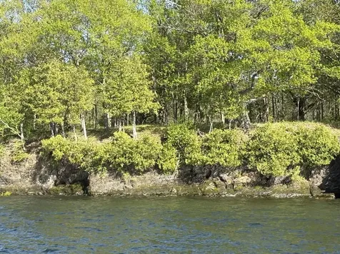 3625 Butler Island West North Hero VT 05474