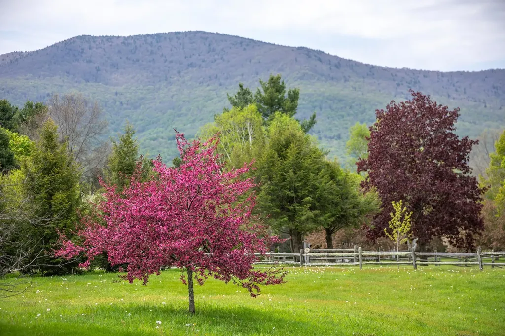 2677 30 Route Dorset VT 05251