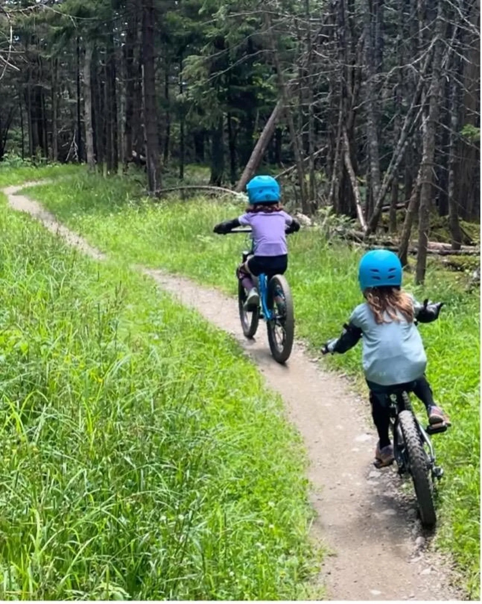 27 Nature Trail Road Bolton VT 05477