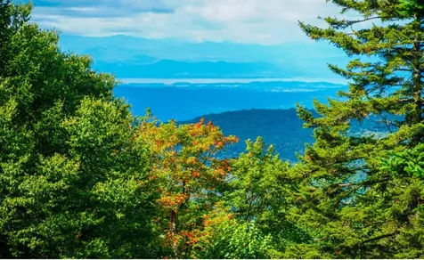 27 Nature Trail Road Bolton VT 05477