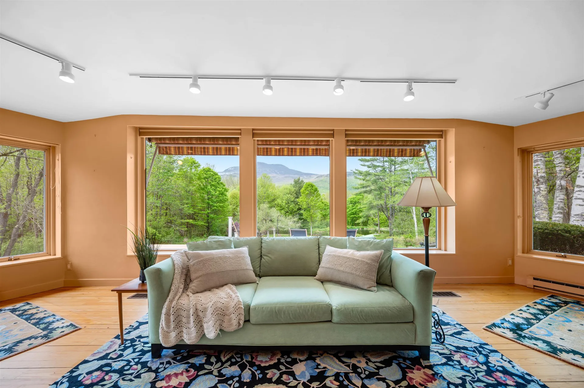 753 Scrabble Hill Road Duxbury VT 05676