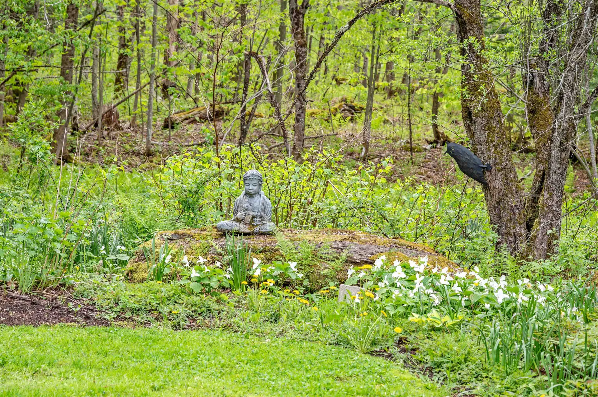 753 Scrabble Hill Road Duxbury VT 05676