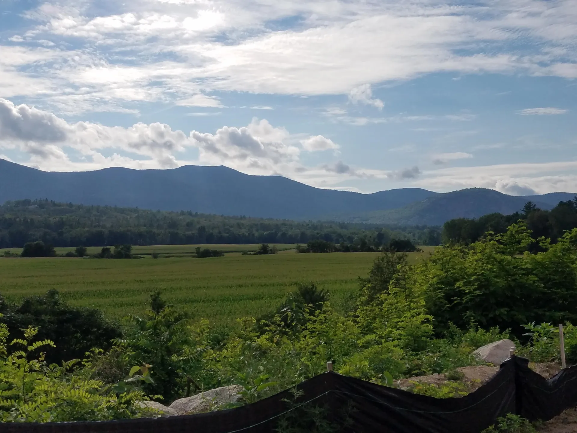 38 Alpine Place Drive Conway NH 03860