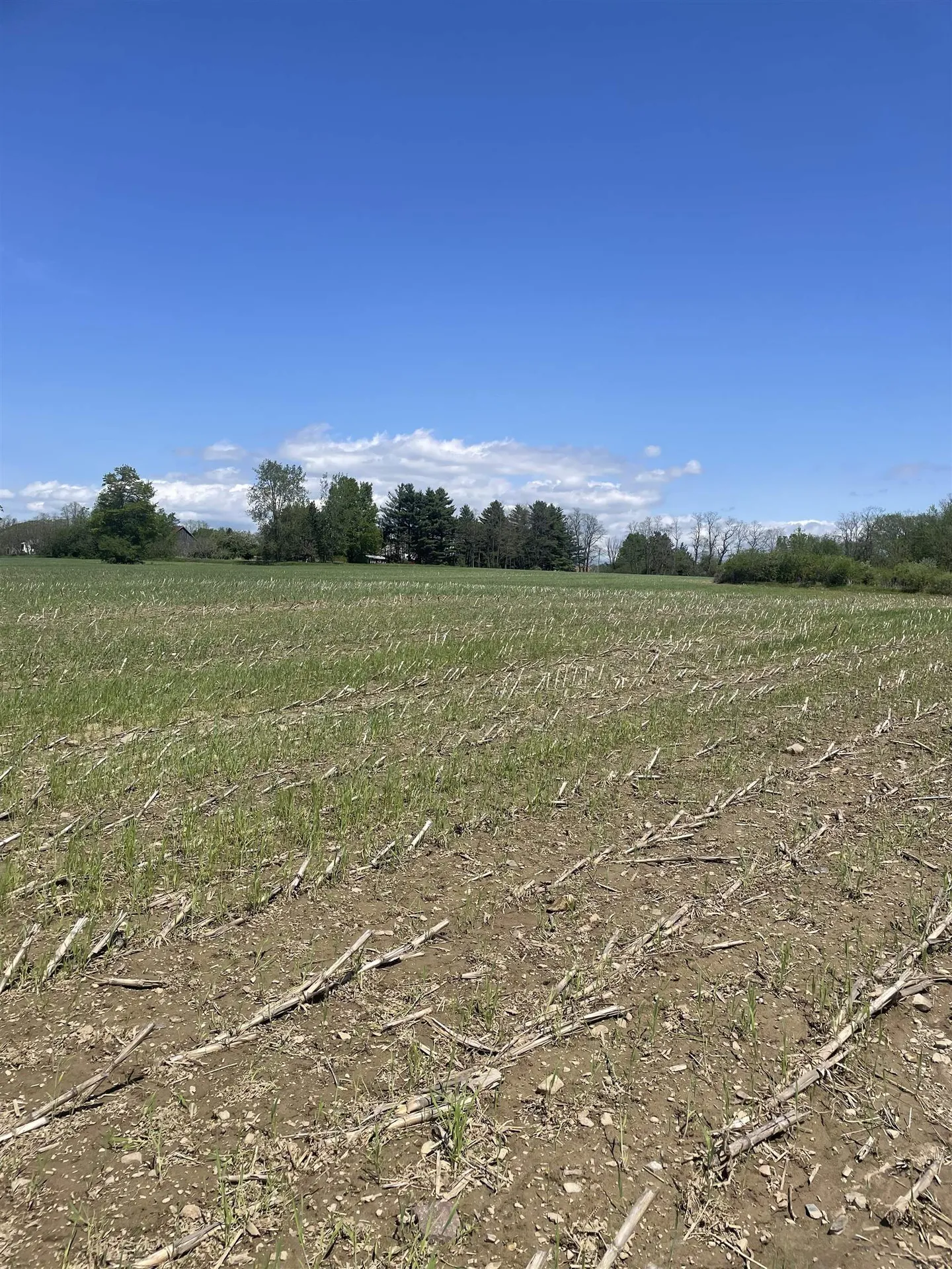 1499 Hinesburg Road South Burlington VT 05403