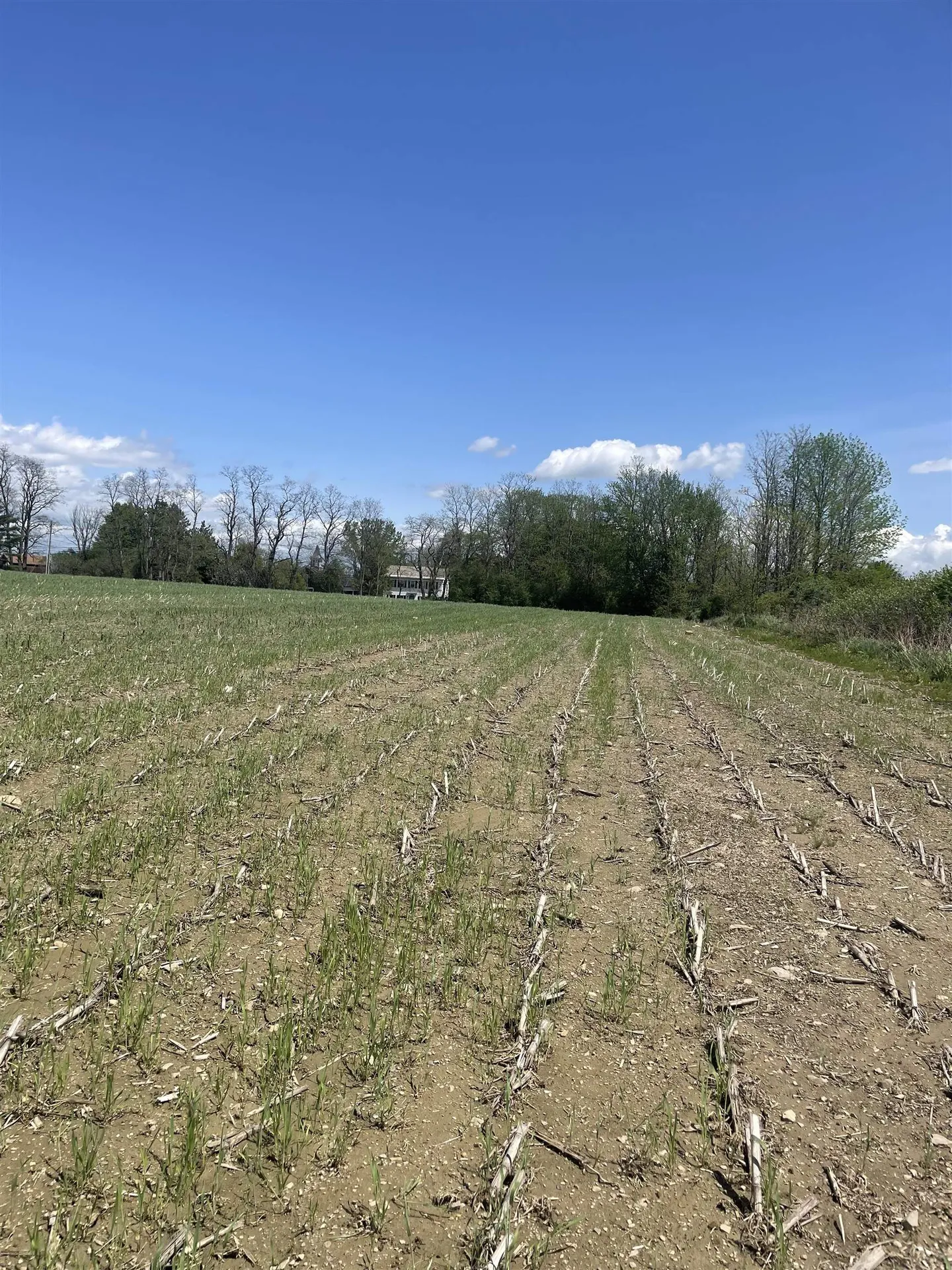 1499 Hinesburg Road South Burlington VT 05403