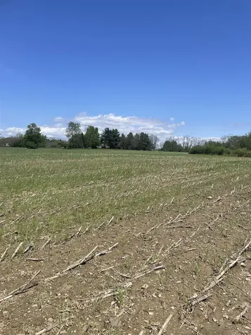 1499 Hinesburg Road South Burlington VT 05403