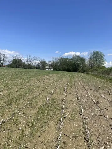 1499 Hinesburg Road South Burlington VT 05403