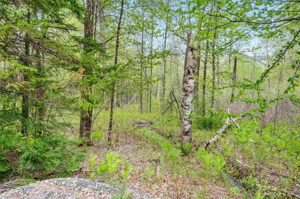 753 Scrabble Hill Road Duxbury VT 05676