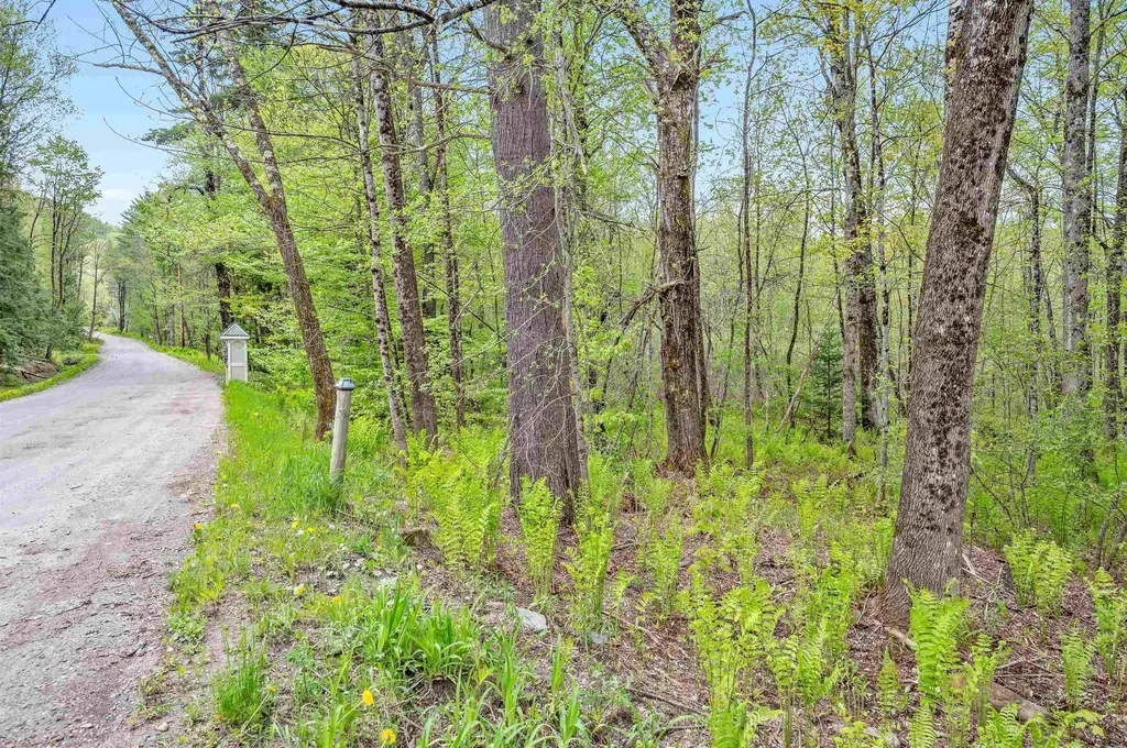 753 Scrabble Hill Road Duxbury VT 05676