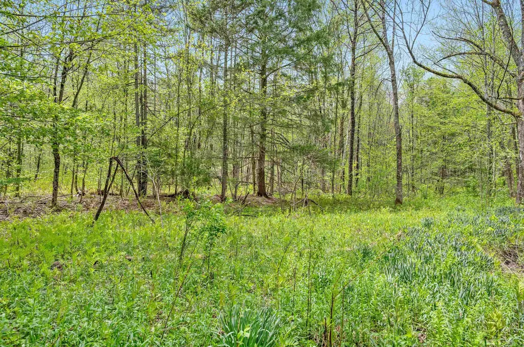 753 Scrabble Hill Road Duxbury VT 05676