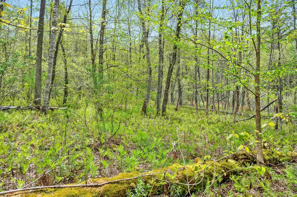 753 Scrabble Hill Road Duxbury VT 05676