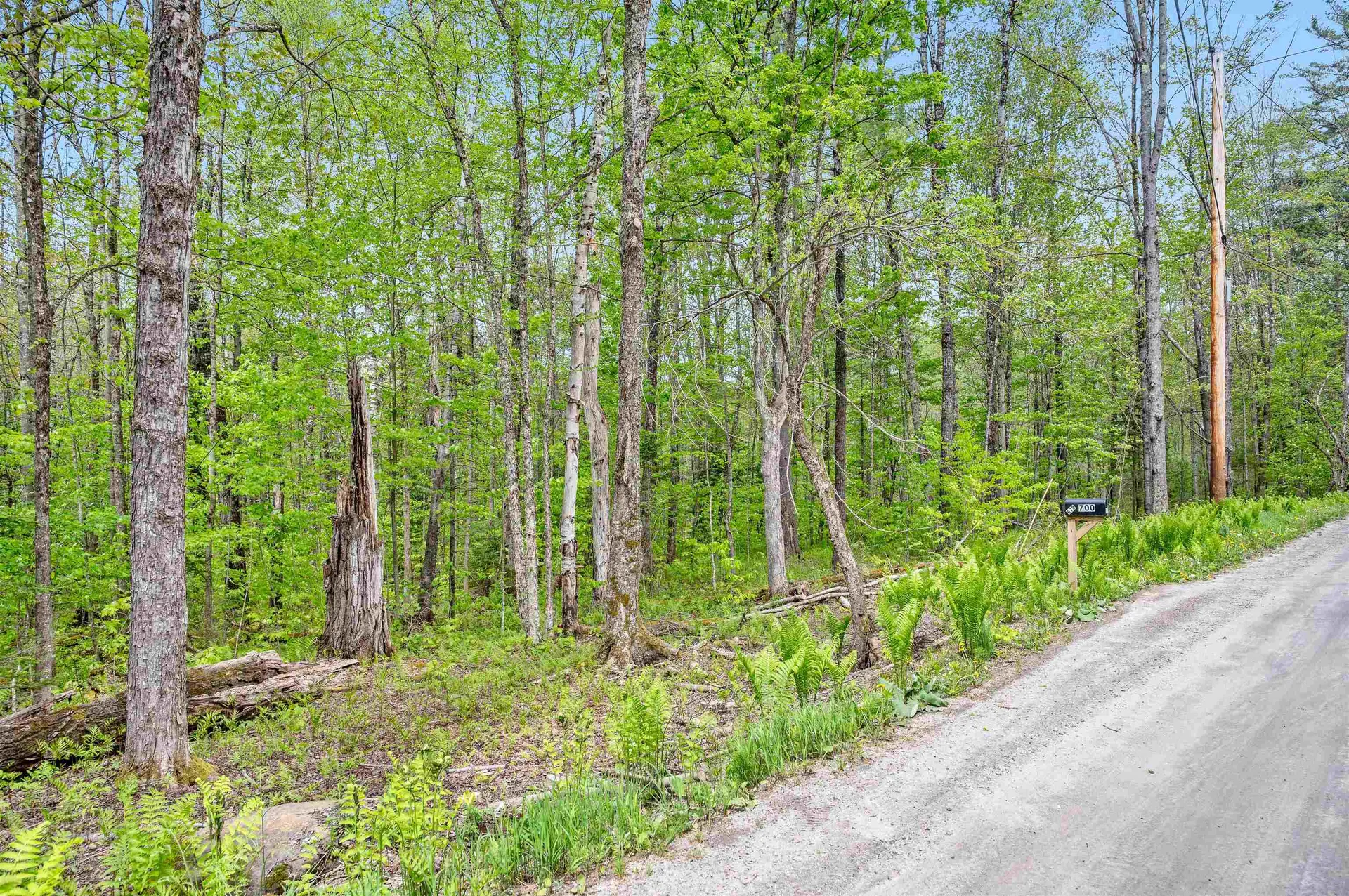 753 Scrabble Hill Road Duxbury VT 05676