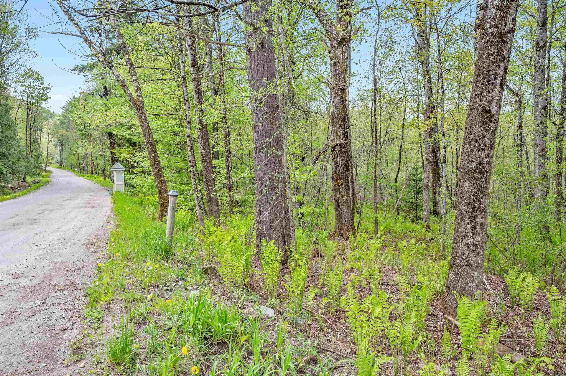 753 Scrabble Hill Road Duxbury VT 05676