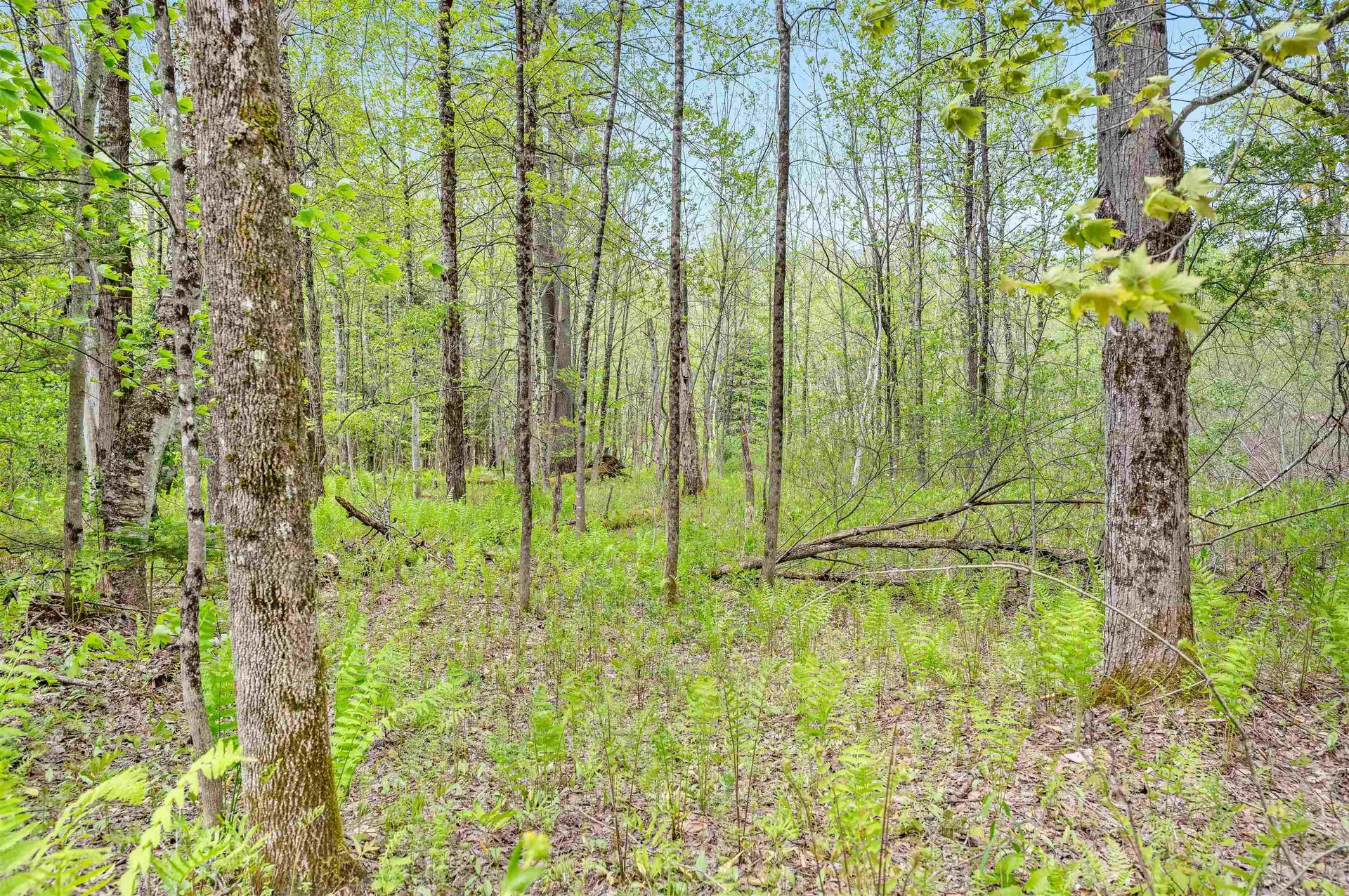 753 Scrabble Hill Road Duxbury VT 05676