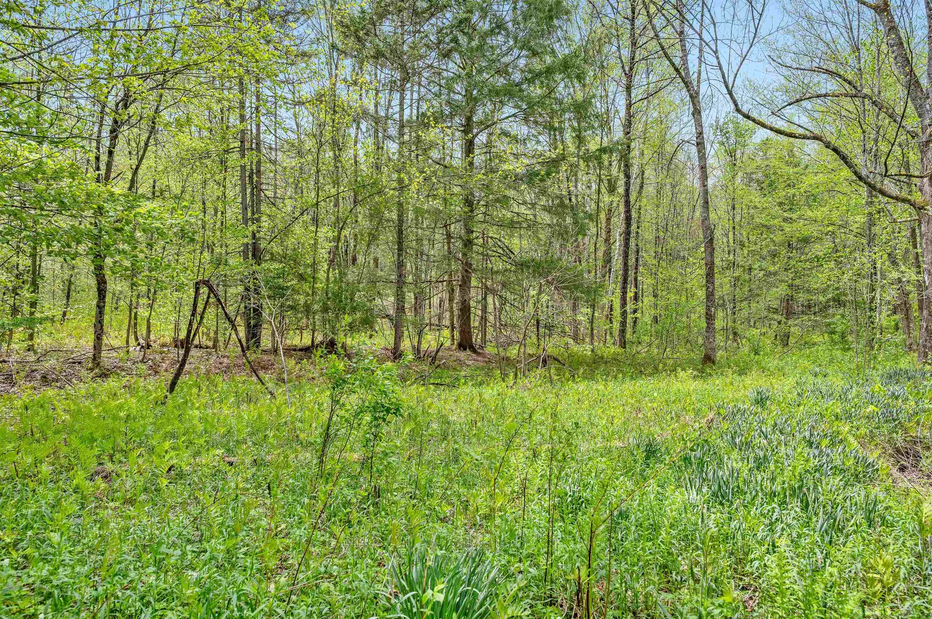 753 Scrabble Hill Road Duxbury VT 05676