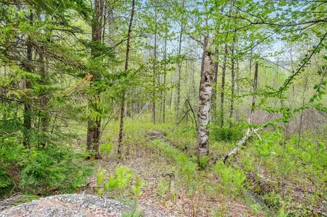753 Scrabble Hill Road Duxbury VT 05676