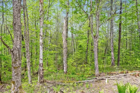 753 Scrabble Hill Road Duxbury VT 05676