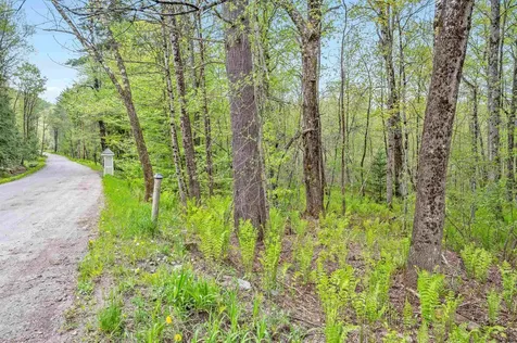 753 Scrabble Hill Road Duxbury VT 05676