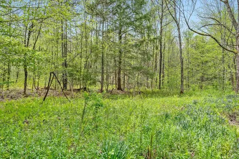 753 Scrabble Hill Road Duxbury VT 05676