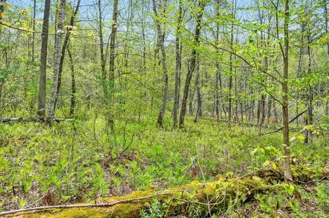 753 Scrabble Hill Road Duxbury VT 05676