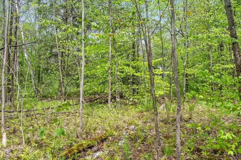 753 Scrabble Hill Road Duxbury VT 05676