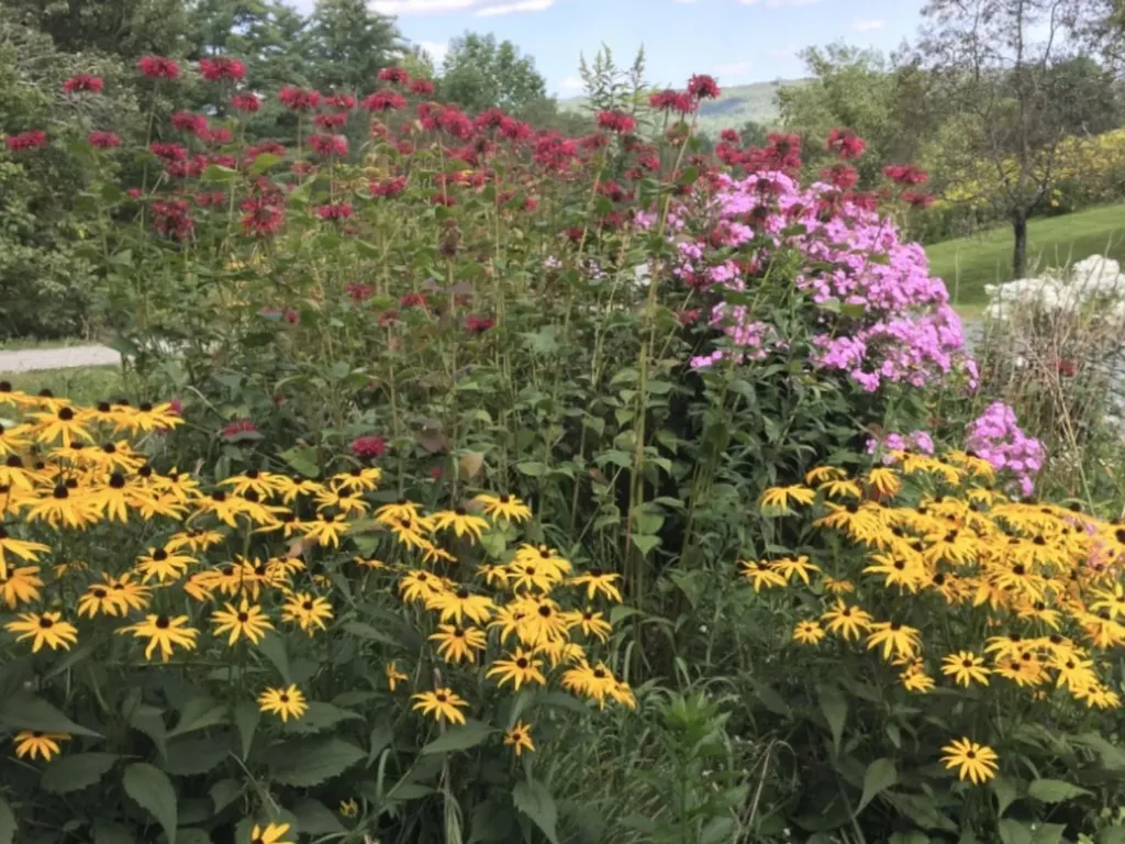 135 Duxfarm Estates Duxbury VT 05676