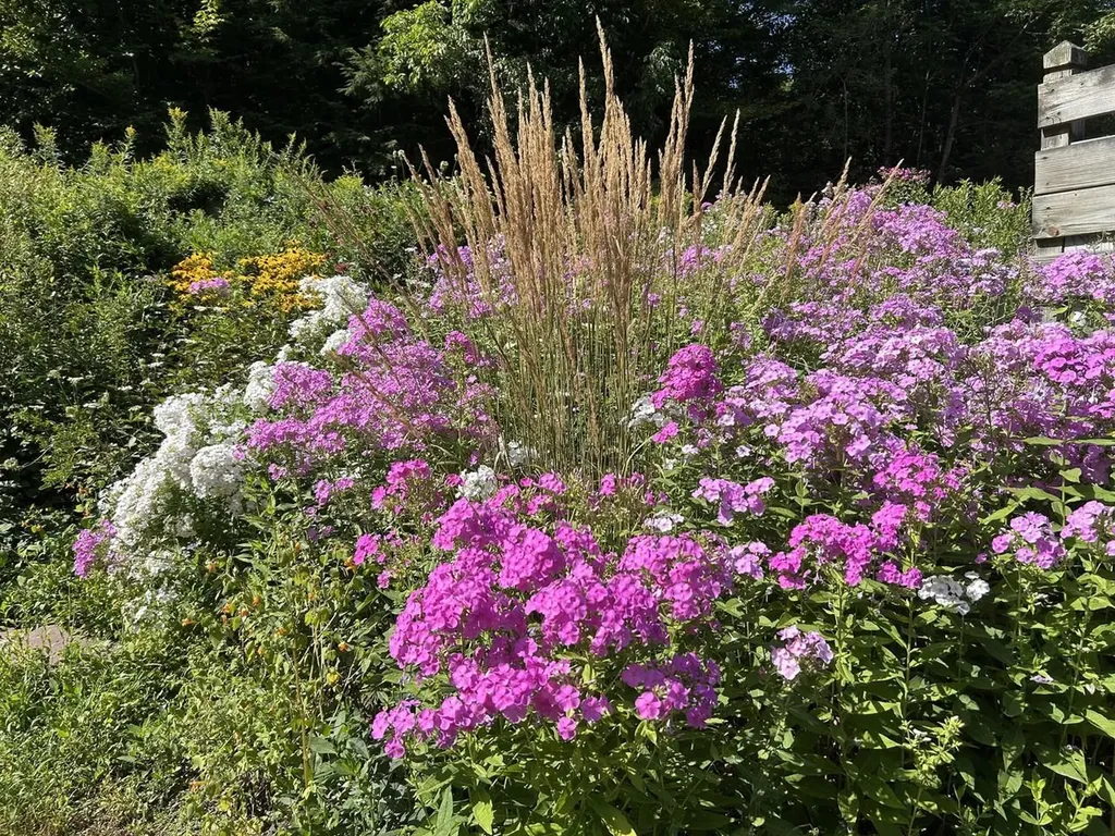 135 Duxfarm Estates Duxbury VT 05676