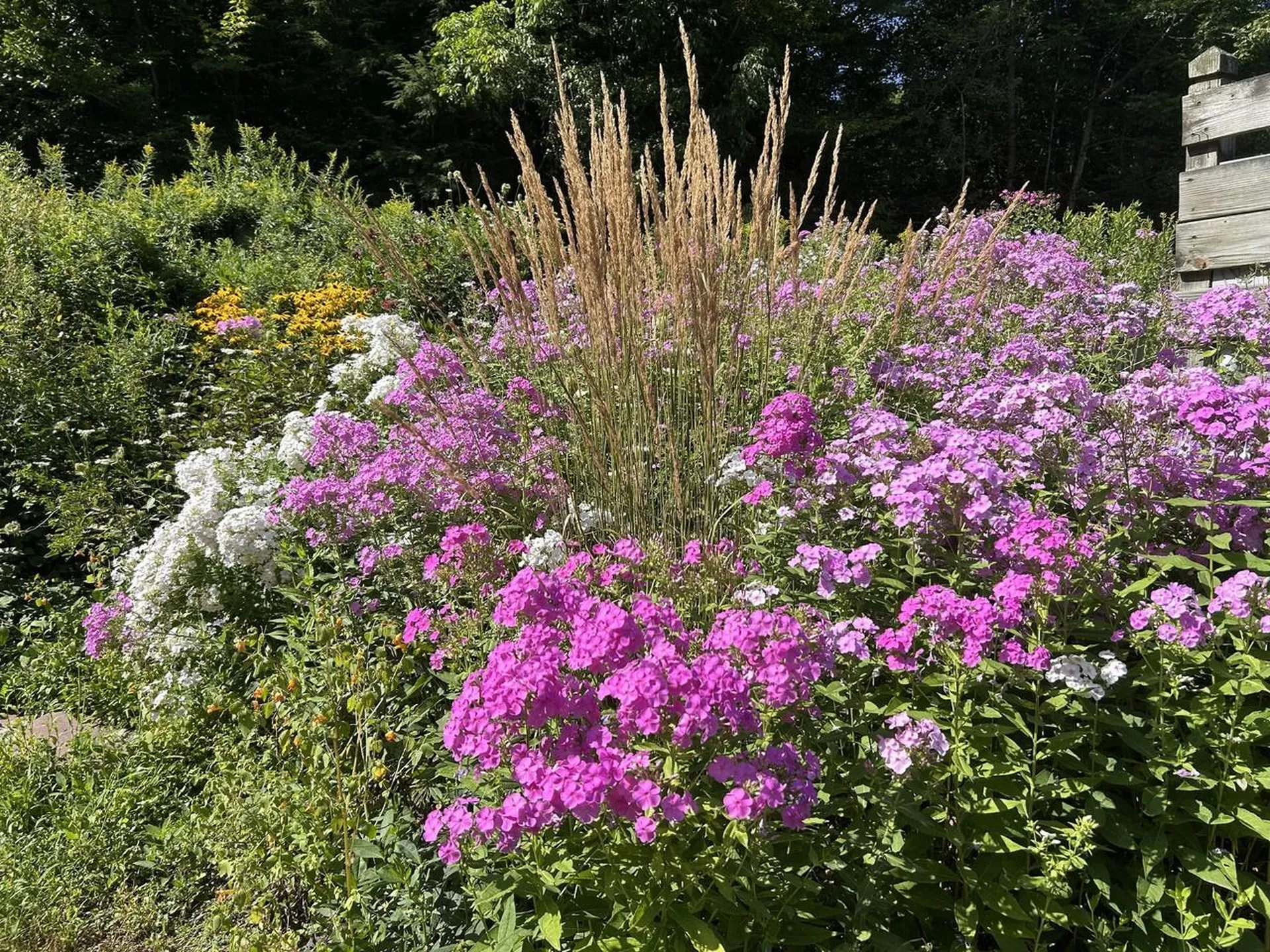 135 Duxfarm Estates Duxbury VT 05676