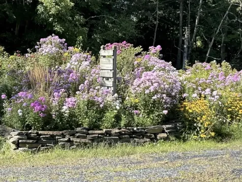 135 Duxfarm Estates Duxbury VT 05676