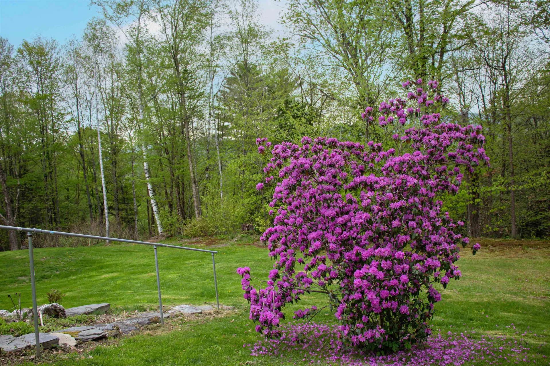 269 Suiter Road Waterford VT 05819