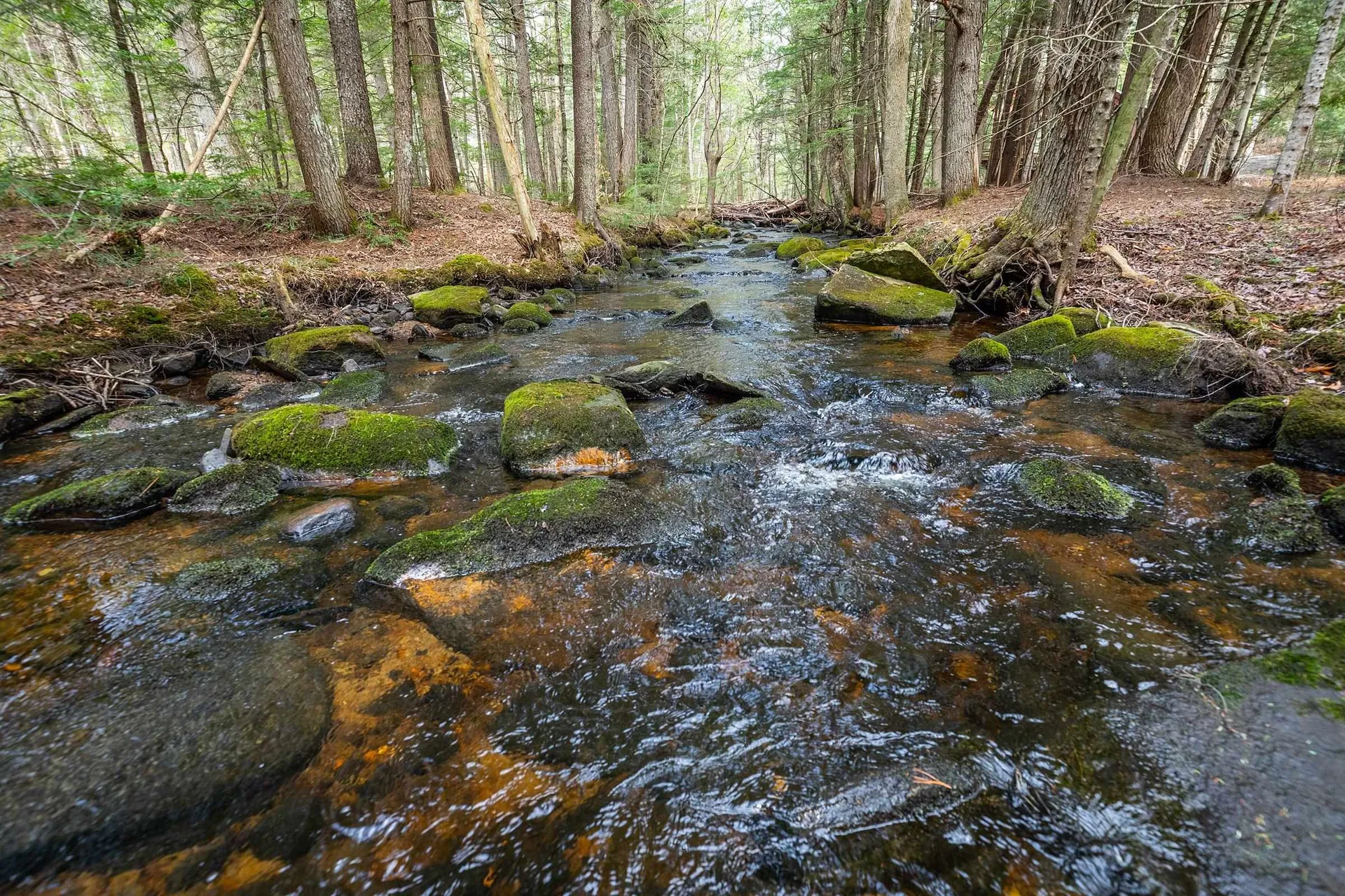 63 Raspberry Hill Road Winhall VT 05340
