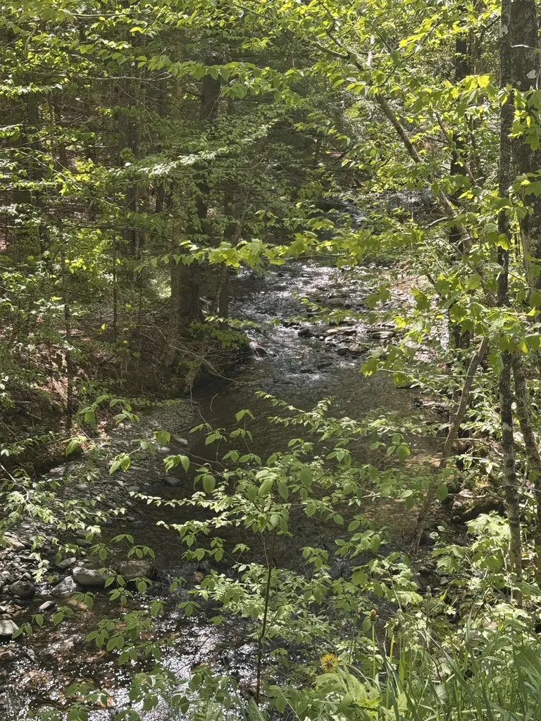2113 Stony Brook Road Northfield VT 05663