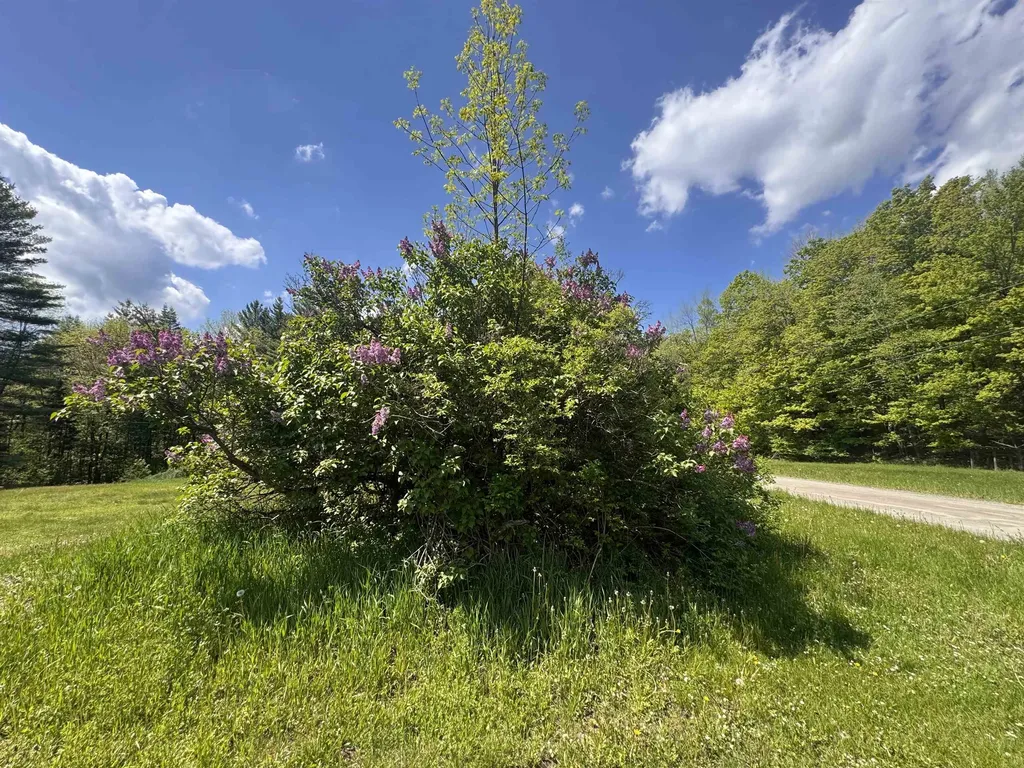 2113 Stony Brook Road Northfield VT 05663