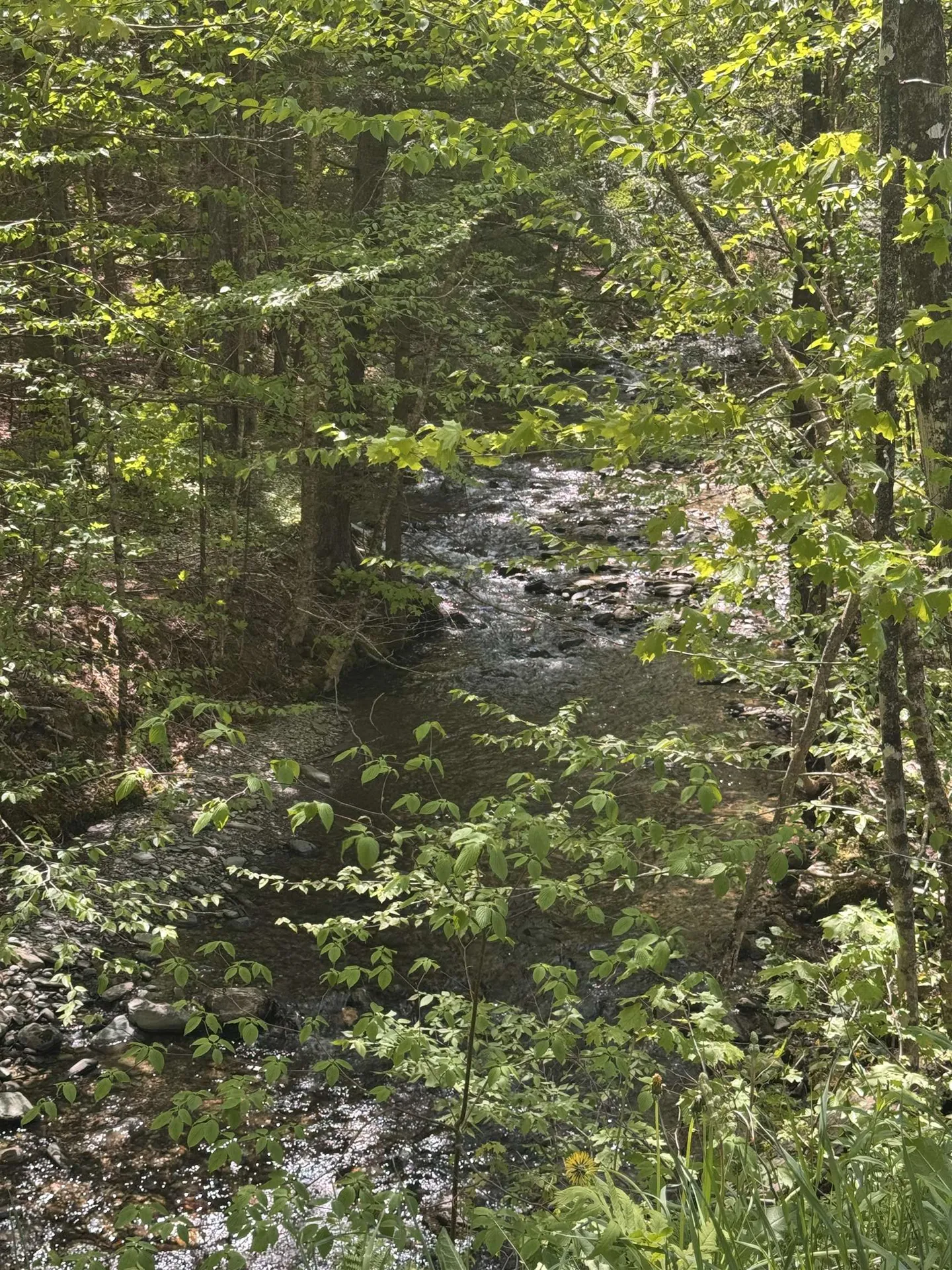 2113 Stony Brook Road Northfield VT 05663
