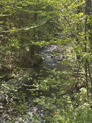 2113 Stony Brook Road Northfield VT 05663