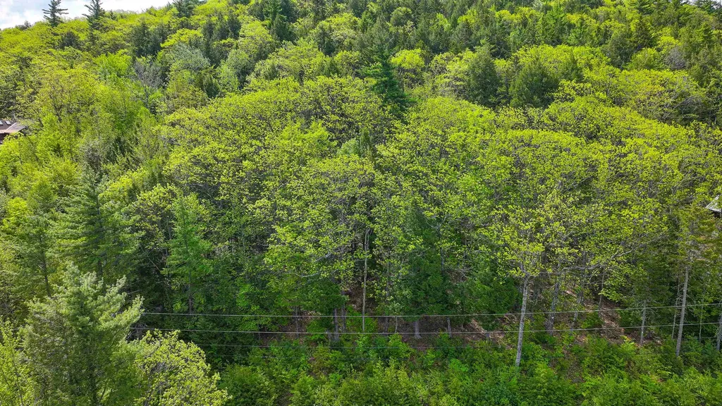 44 Regent Hill Road Conway NH 03818