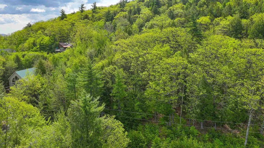 44 Regent Hill Road Conway NH 03818