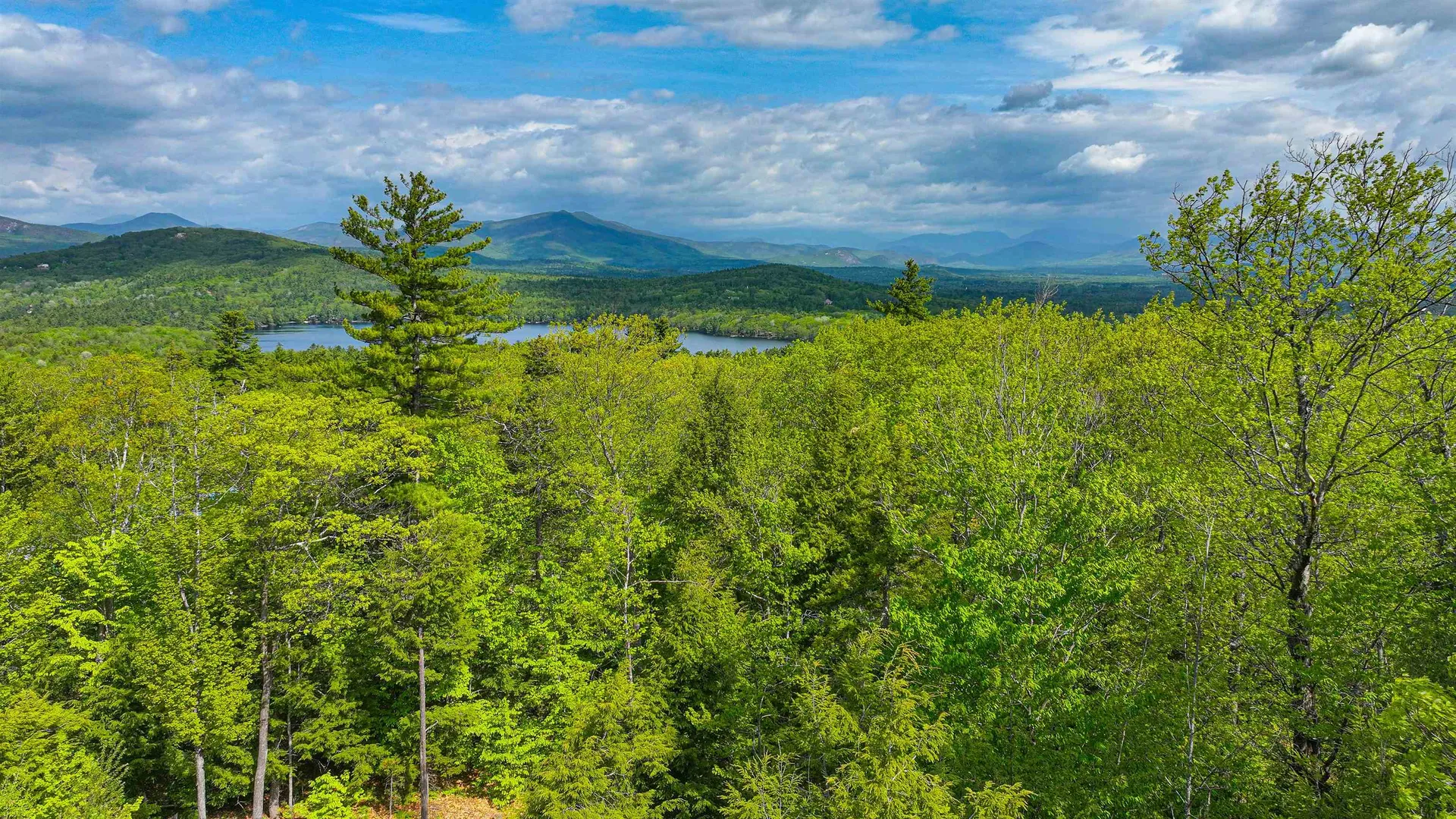 44 Regent Hill Road Conway NH 03818