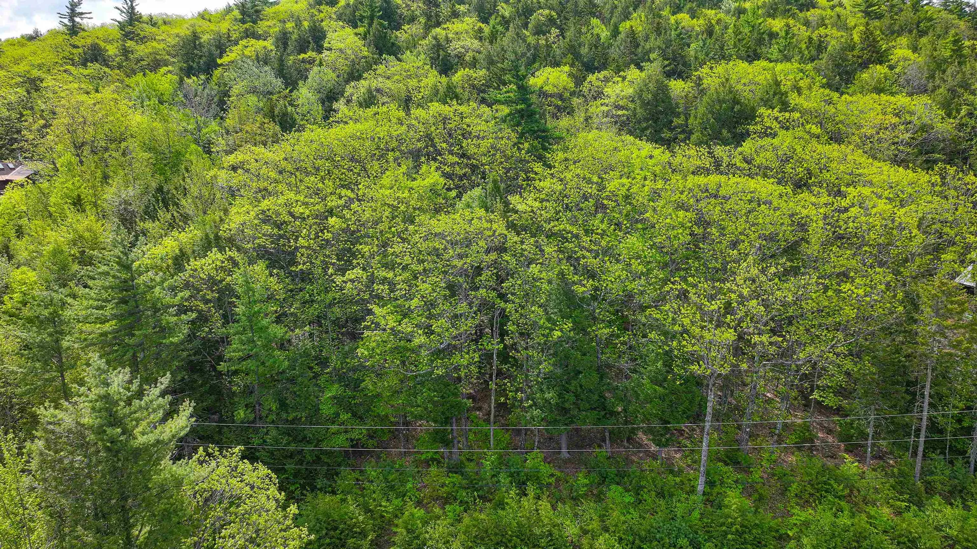 44 Regent Hill Road Conway NH 03818