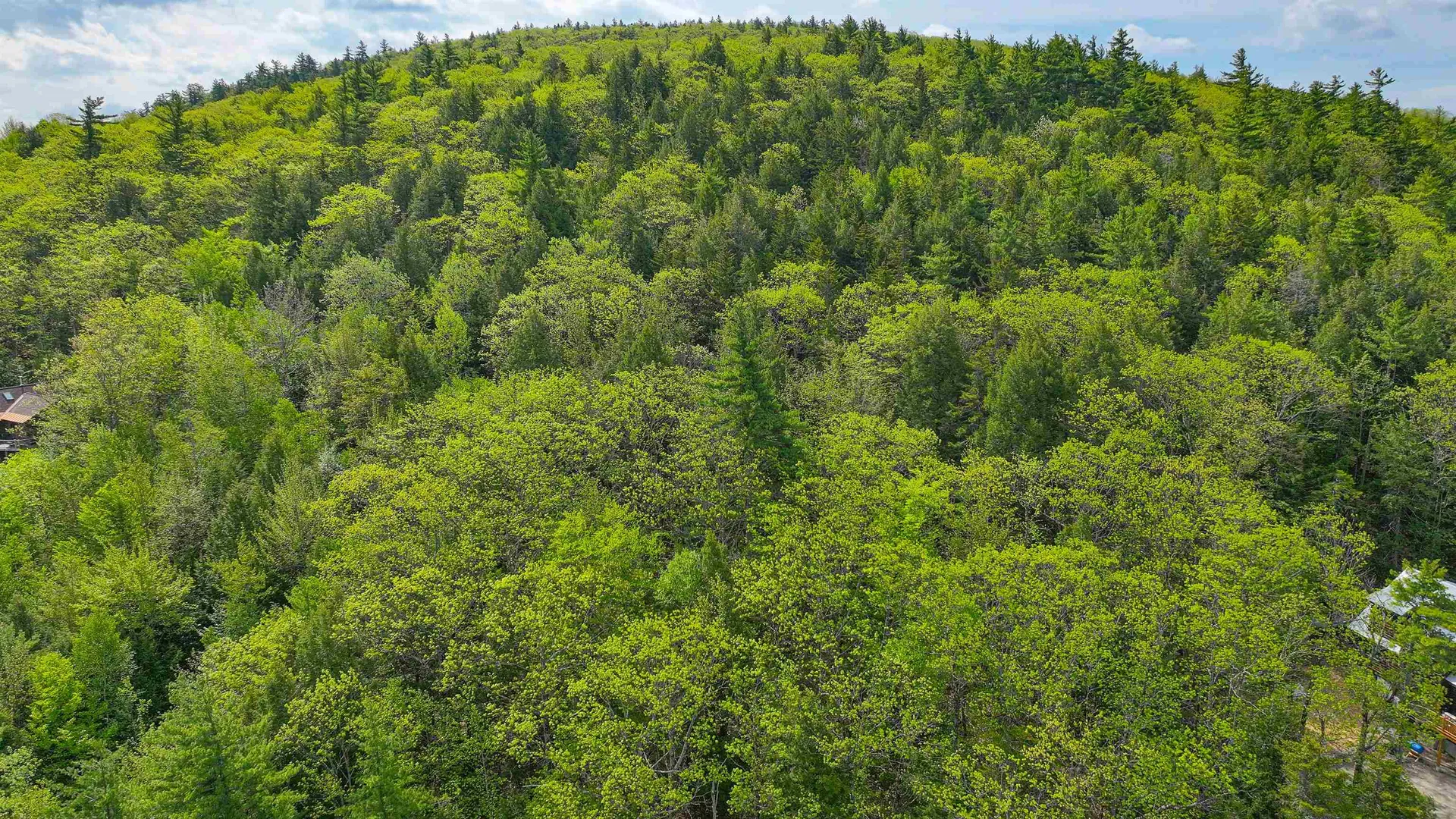 44 Regent Hill Road Conway NH 03818