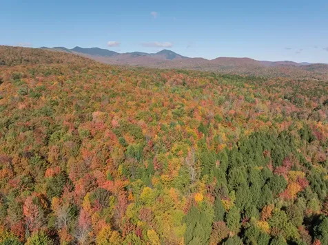 Tbd West Hill Road Stowe VT 05672