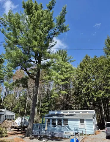 166 Forest Drive Fitzwilliam NH 03447