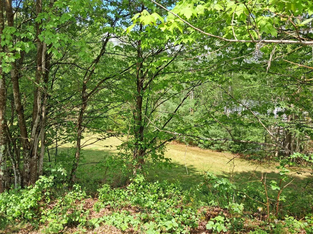 764 Nh Route 3a Hill NH 03243
