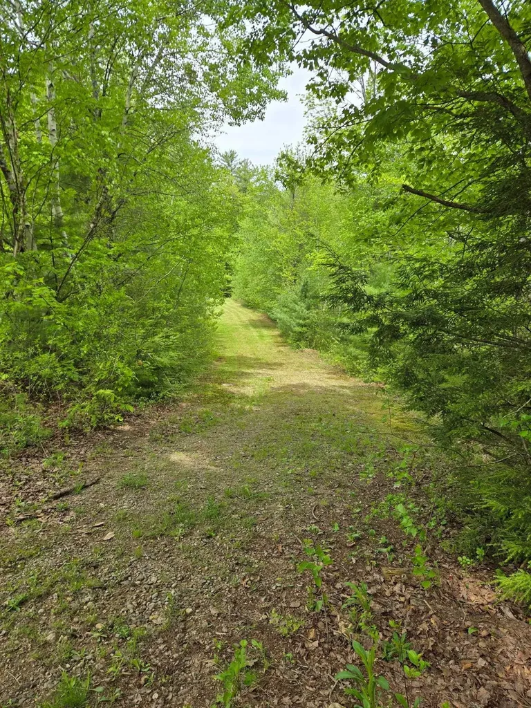 764 Nh Route 3a Hill NH 03243